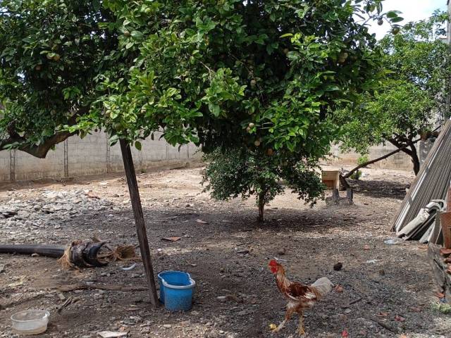 Área para Venda em Jacareí - 4