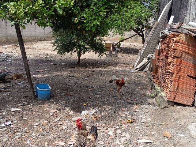 #TE 1038 - Área para Venda em Jacareí - SP - 3