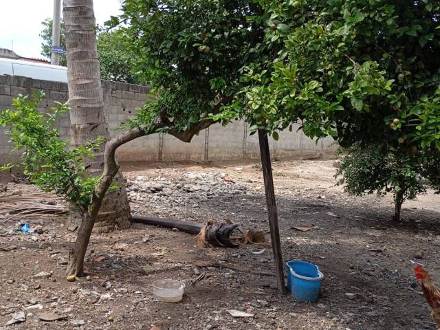 Área para Venda em Jacareí - 5